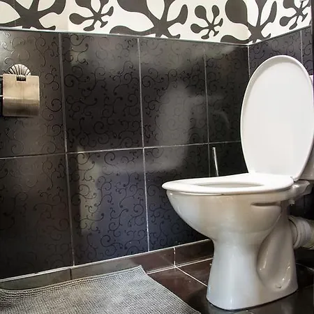 Silver Daire Burgaz